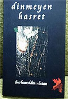 Dinmeyen Hasret