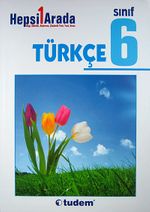 6. Sınıf Türkçe /  Hepsi 1 Arada
