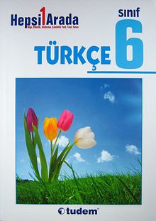6. Sınıf Türkçe /  Hepsi 1 Arada