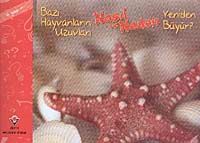 Bazı Hayvanların Uzuvları Nasıl ve Neden Yeniden Büyür?