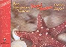 Bazı Hayvanların Uzuvları Nasıl ve Neden Yeniden Büyür?