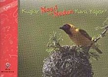 Kuşlar Nasıl ve Neden Yuva Yapar?