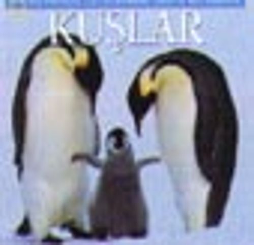 Kuşlar