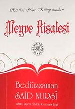 Meyve Risalesi  (Cep Boy, Dipnot, Sözlük, Kronolojik Bilgi)