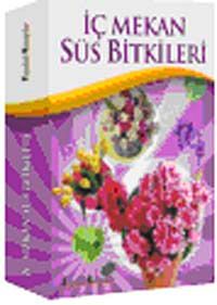 İç Mekan Süs Bitkileri