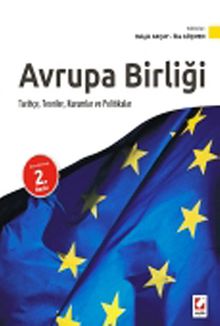 Avrupa Birliği & Tarihçe, Teoriler, Kurumlar ve Politikalar