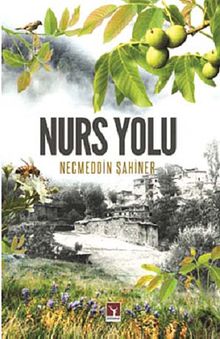 Nurs Yolu