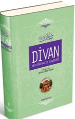 Divan - Mevlana Halid-i Bağdadi