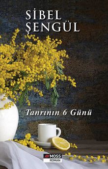Tanrının 6 Günü