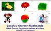 Cosplay Starter Flashcards - Okul Öncesi İngilizce Kelime Kartları (40 adet) (24,5x33,5)
