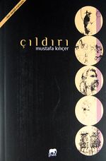 Çıldırı