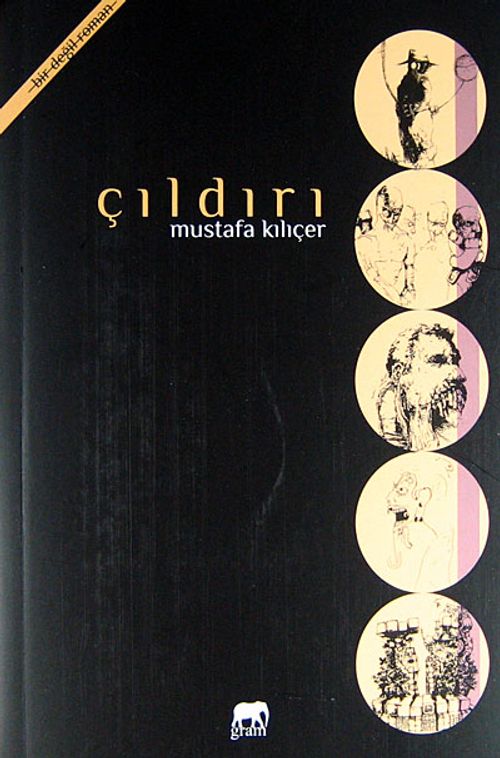 Çıldırı