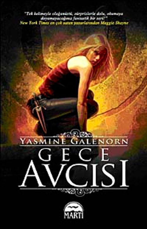 Gece Avcısı