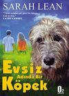 Evsiz Adında Bir K&ouml;pek