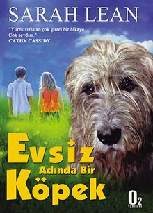 Evsiz Adında Bir Köpek