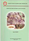 T&uuml;rkiye'de İ&ccedil;me Suyunda Flor ve Etkileri