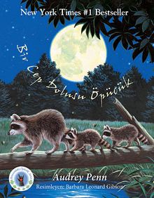 Minik Rakun Bir Cep Dolusu Öpücük