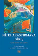 Nitel Araştırmaya Giriş