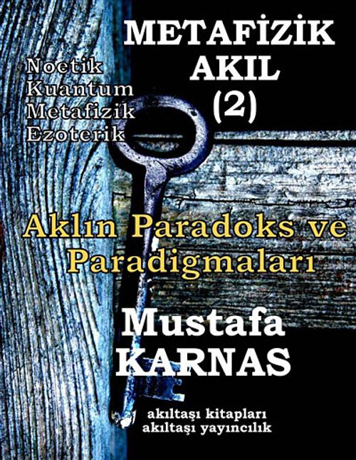 Metafizik Akıl -2