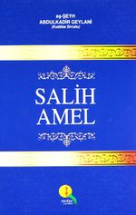 Salih Amel