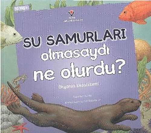 Su Samurları Olmasaydı Ne Olurdu? & Okyanus Ekosistemi