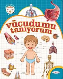 Vücudumu Tanıyorum (Dvd-Rom İlaveli) - Bilinmeyen Yazar