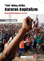 Yeni Güney Afrika: Kararan Kapitalizm & Güney Afrika'da Kapitalizm, Irk, Sınıf