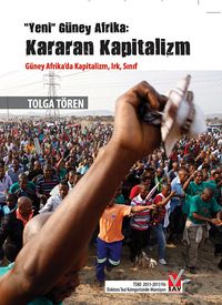 Yeni Güney Afrika: Kararan Kapitalizm & Güney Afrika'da Kapitalizm, Irk, Sınıf