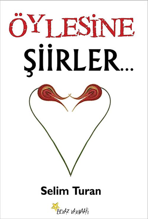 Öylesine Şiirler