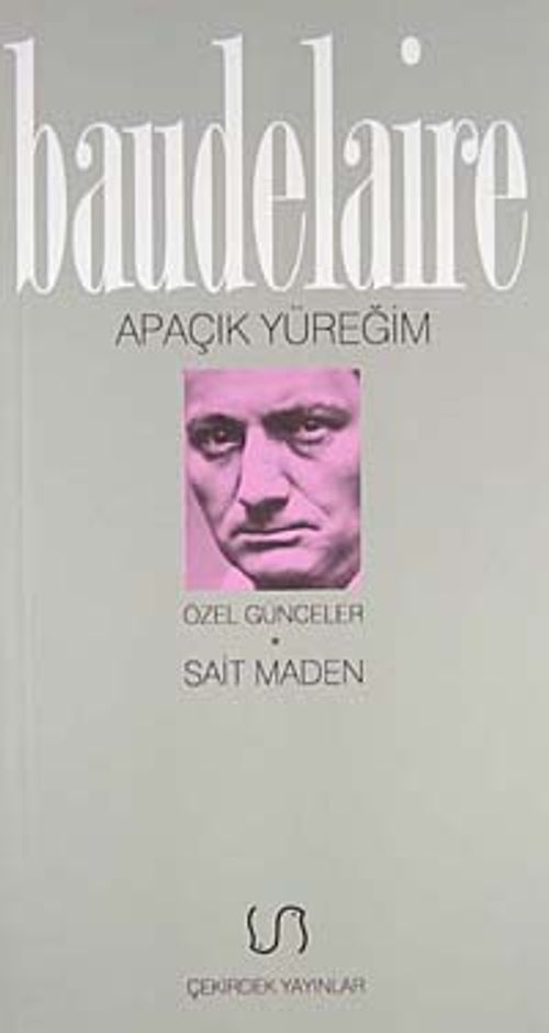 Apaçık Yüreğim/Özel Günceler