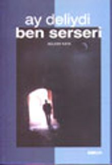 Ay Deliydi Ben Serseri