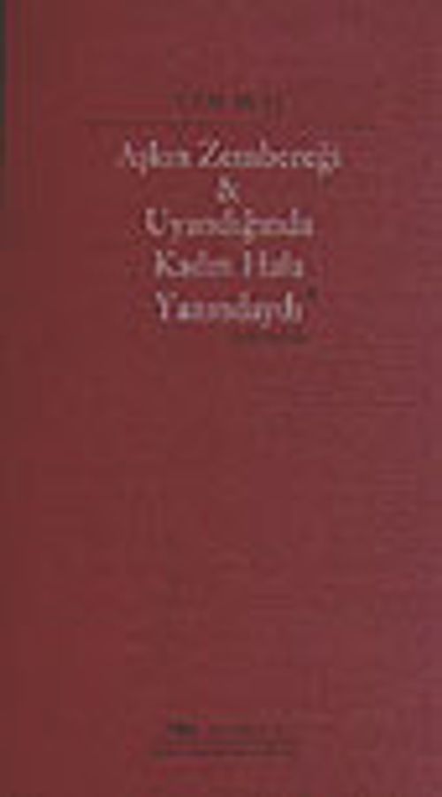 Aşkın Zembereği / Uyandığında Kadın Hala Yanındaydı
