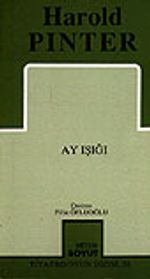 Ay Işığı