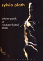 Jonny Panik ve Rüyaların Kutsal Kitabı