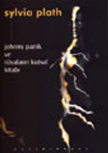 Jonny Panik ve Rüyaların Kutsal Kitabı