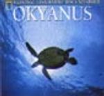 Okyanus