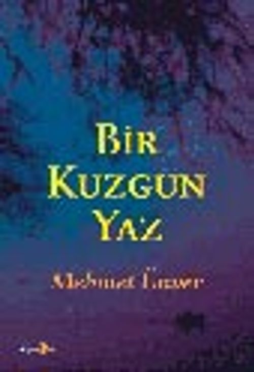 Bir Kuzgun Yaz