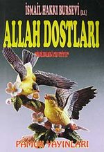 Celvetiyye Yolunda Allah Dostları (Silsilename-i Celvetiyye)