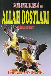 Celvetiyye Yolunda Allah Dostları (Silsilename-i Celvetiyye)