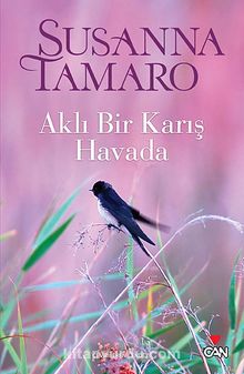 Aklı Bir Karış Havada - Susanna Tamaro