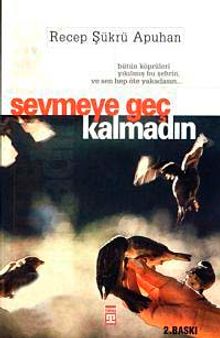 Sevmeye Geç Kalmadın