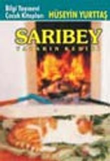 Sarıbey Yazarın Kedisi