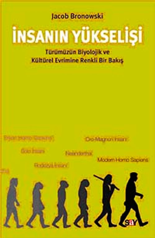 İnsanın Yükselişi