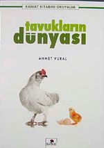 Tavukların Dünyası