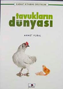 Tavukların Dünyası