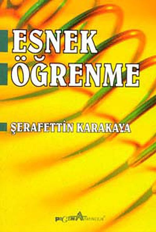 Esnek Öğrenme