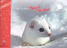 Hayvanlar Nasıl ve Neden Kışa Hazırlanır?