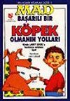 Başarılı Bir K&ouml;pek Olmanın Yolları
