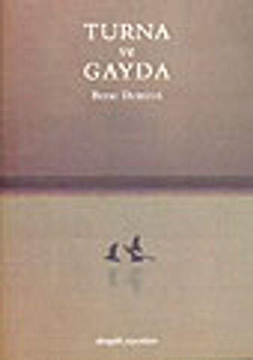 Turna ve Gayda