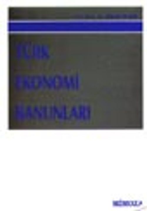 Türk Ekonomi Kanunları